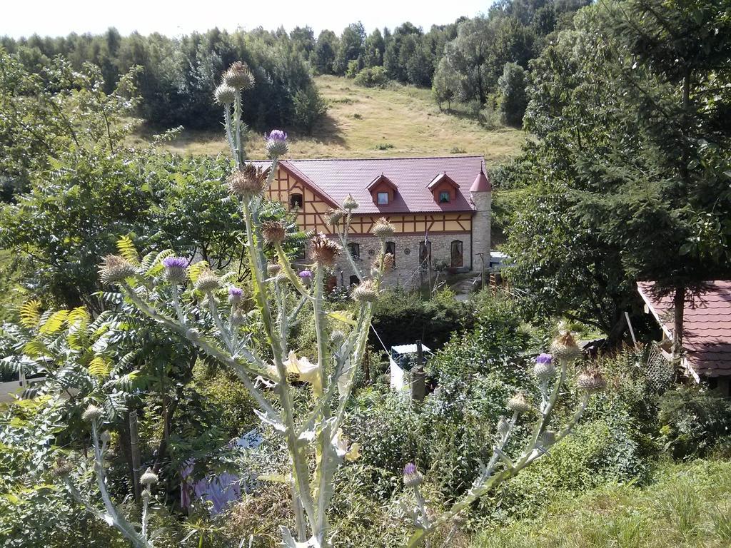 Zbojna Debra Bed & Breakfast Golejow Exterior photo